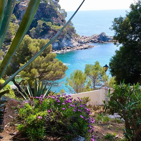 Cala Llevado شقة توسا ذي مار